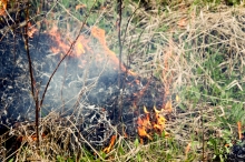 В окрестностях Набережных Челнов горят пустыри